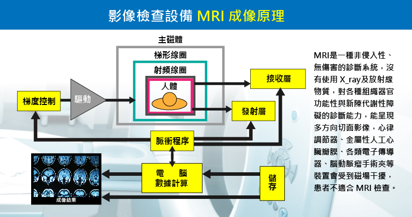 MRI成像原理示意圖
