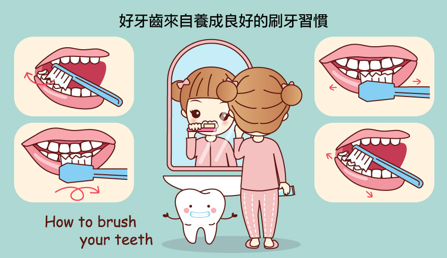好牙齒來自養成良好的刷牙習慣